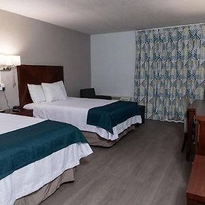 Deluxe Quadruple Room Non-Smoking